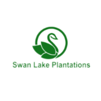 SWAN LAKE PLANTATIONS