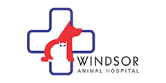 WINDSOR PET SOLUTIONS SDN BHD